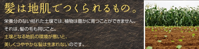 Herb Garden�E�n�[�u�K�[�f�����T�C�g